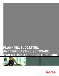 Guide to Selecting a Planning System