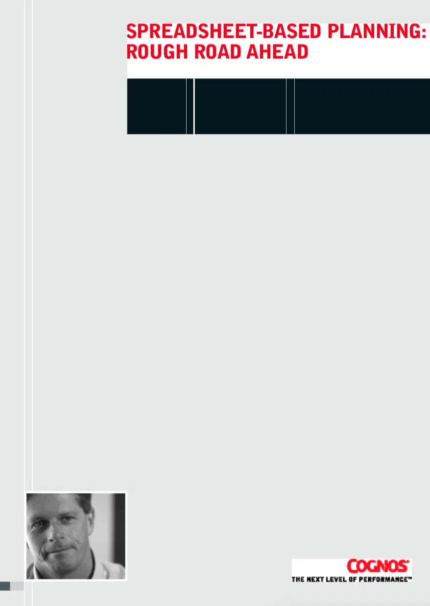 spreadsheet based planning: rough road ahead