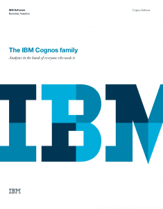 The IBM Cognos Family